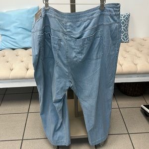 Soft Surroundings pants